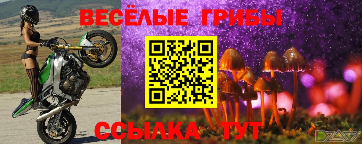 магазин  наркотиков  Вход с VPN  Обь  Галлюциногенные грибы Psilocybe 