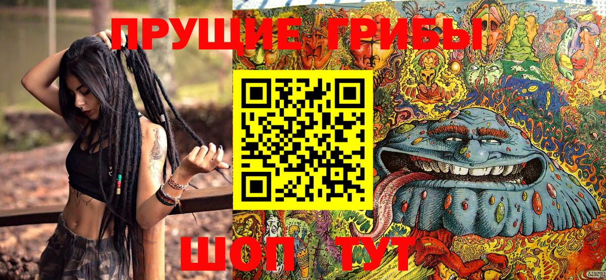 Галлюциногенные грибы Psilocybe Обь